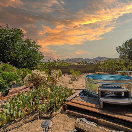 @ Marbella Lane - The Wine Mine Desert Escape โจชัวทรี ภายนอก รูปภาพ