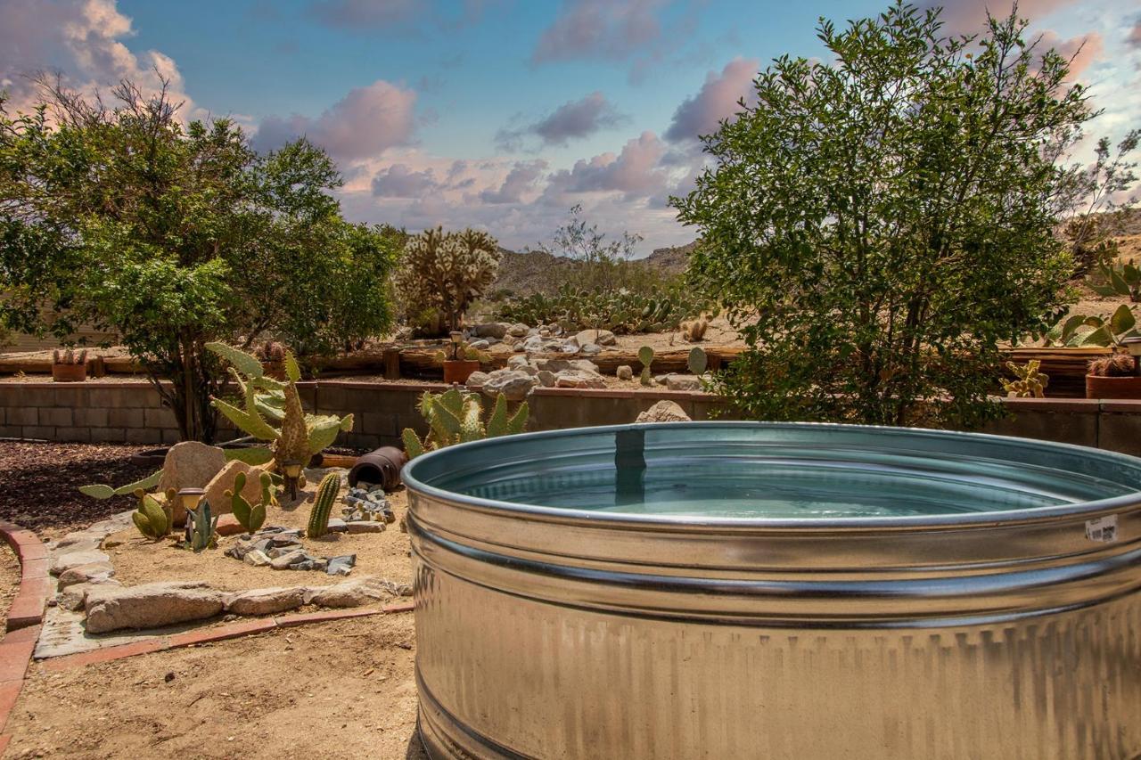 @ Marbella Lane - The Wine Mine Desert Escape โจชัวทรี ภายนอก รูปภาพ