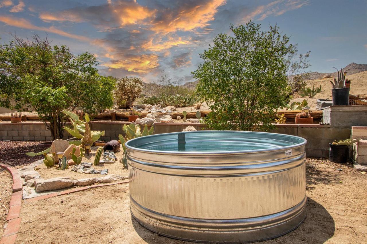 @ Marbella Lane - The Wine Mine Desert Escape โจชัวทรี ภายนอก รูปภาพ